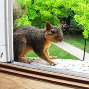 A sanitation worker in a white hazmat suit uses a sprayer to disinfect a wooden bench in an office setting.