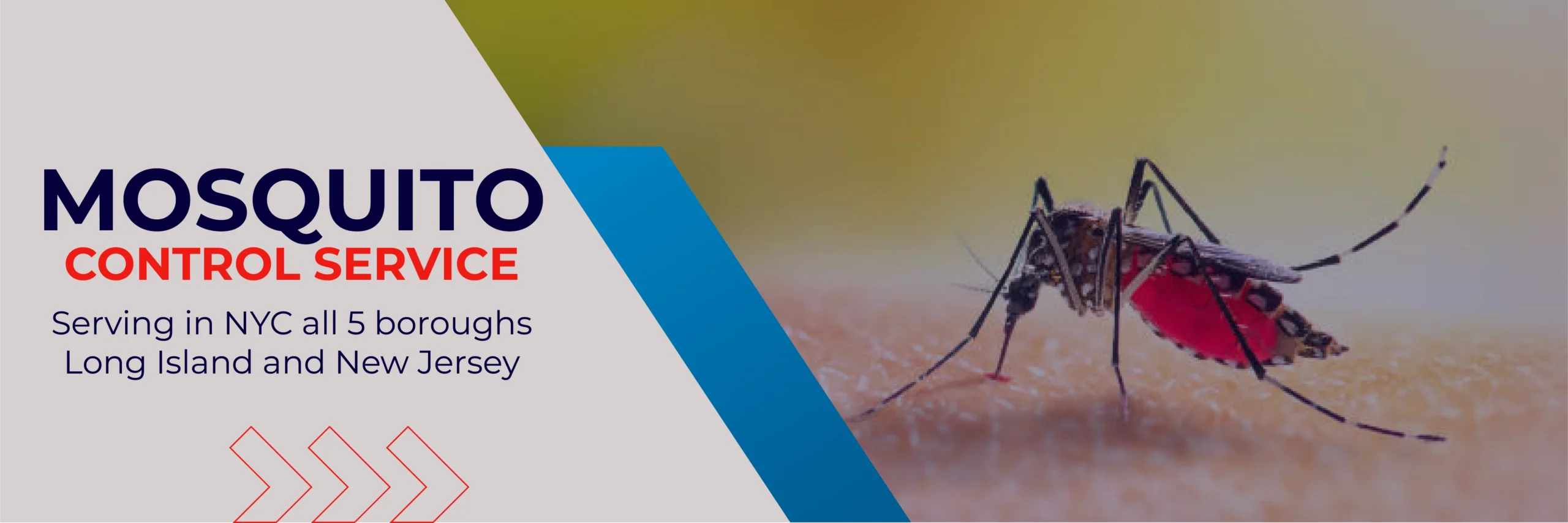 mosquito prevention services NY