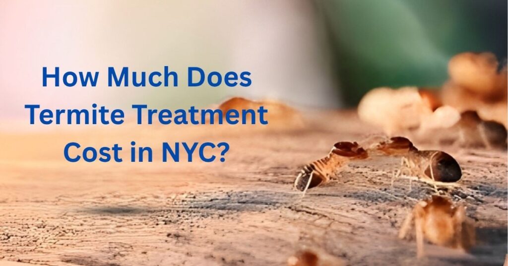 Termites infesting wooden surface highlighting termite treatment cost concerns in New York City