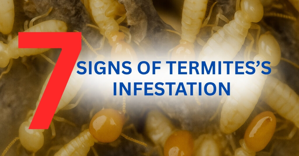 Illustration of termites on wood background with bold text listing 7 signs of a termite infestation.