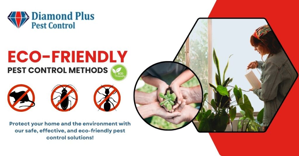 Eco-friendly pest control ad with Diamond Plus logo, no-pest icons, and people caring for plants indoors.