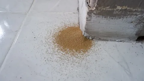 Termite frass on white tile floor near wall edge, a key sign of termite infestation and hidden structural damage.