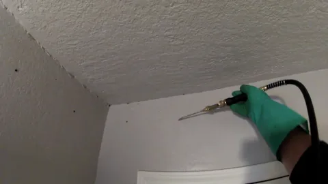 Pest control professional using inspection tool to detect signs of termite infestation in wall corner after hearing clicking sounds.