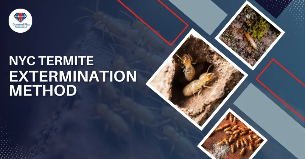 Close-up images of termites in wood and soil with text promoting NYC termite extermination method by Diamond Plus Pest Control.