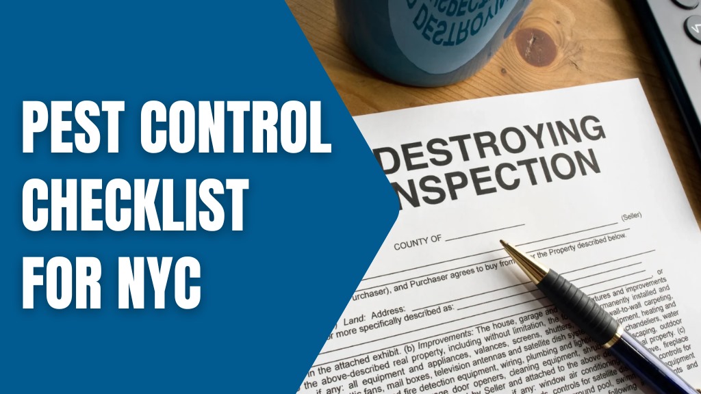 Pest Control Checklist for NYC with a pen and inspection form on a wooden table