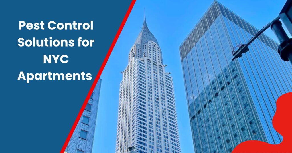 High-rise buildings in New York City representing pest control solutions and apartment pest management services.