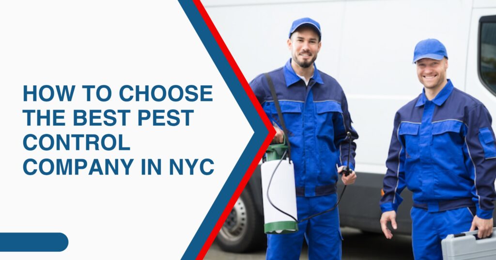 Experienced pest control experts in NYC ready to provide reliable extermination and pest management services for homes and businesses.