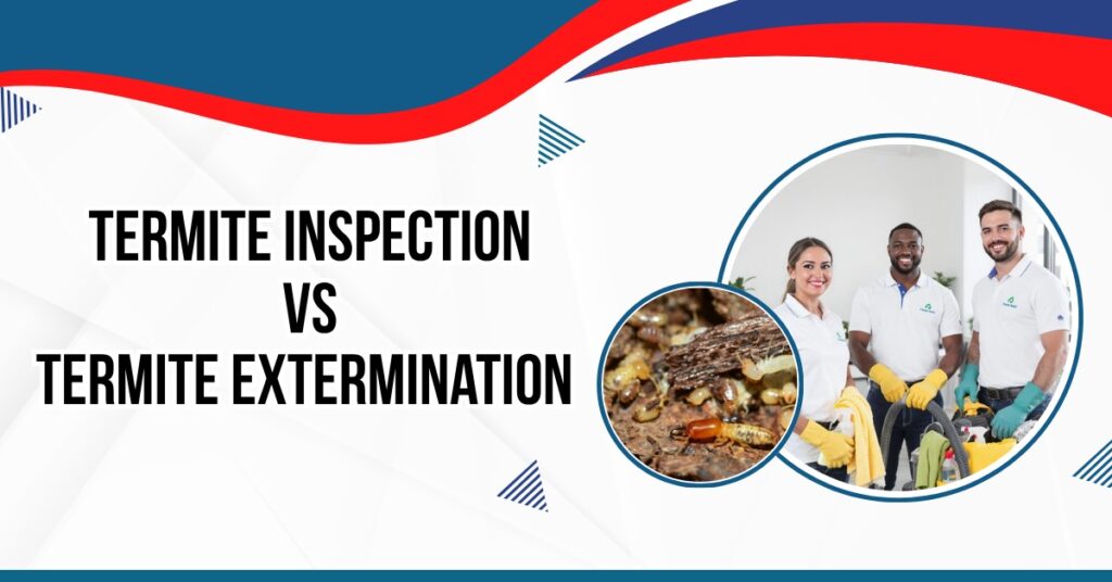 Pest control experts with cleaning tools and close-up of termites showing termite inspection vs extermination.