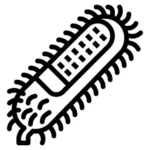 Black and white line icon of a microscopic bacteria cell with flagella, representing germs or pathogens.