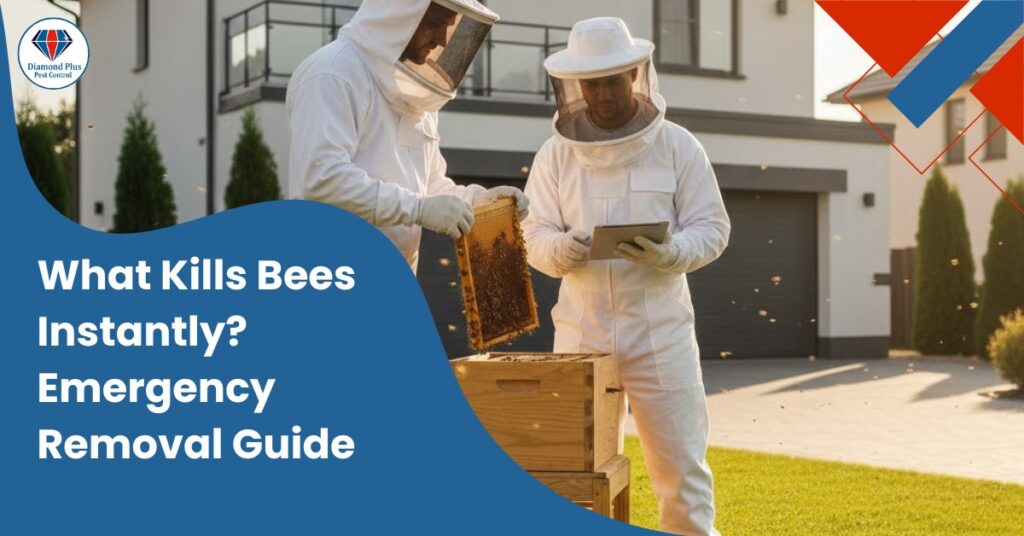 Two beekeepers in protective suits inspecting a hive during an emergency bee removal procedure in a residential area.