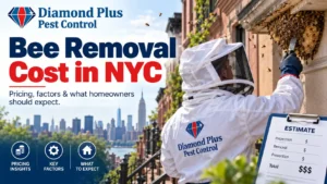 Bee Removal Cost in NYC