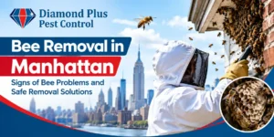 Bee Removal Manhattan