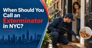 When Should You Call an Exterminator in NYC?